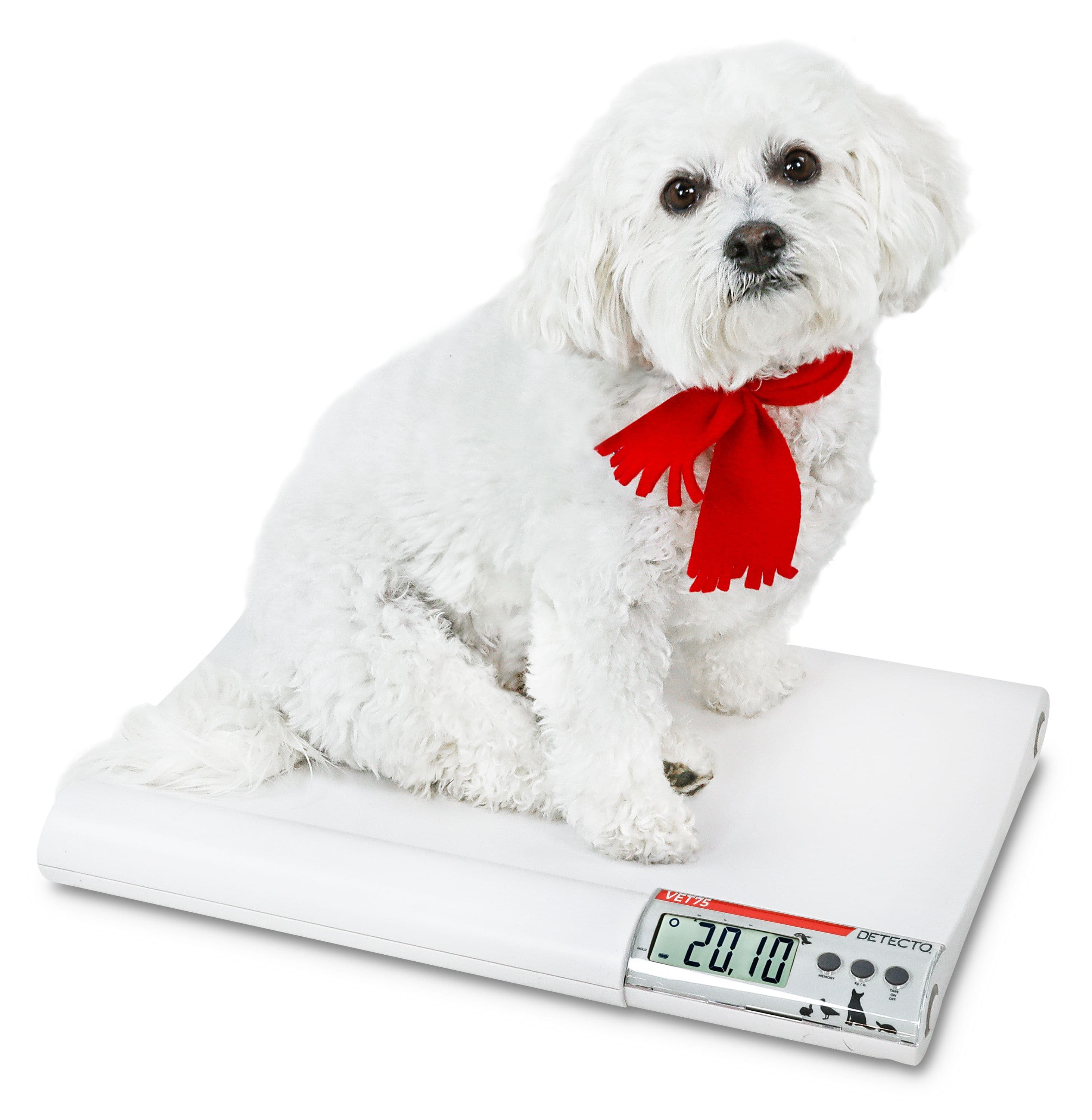 VET75_-_Dog_Facing_Left.jpg