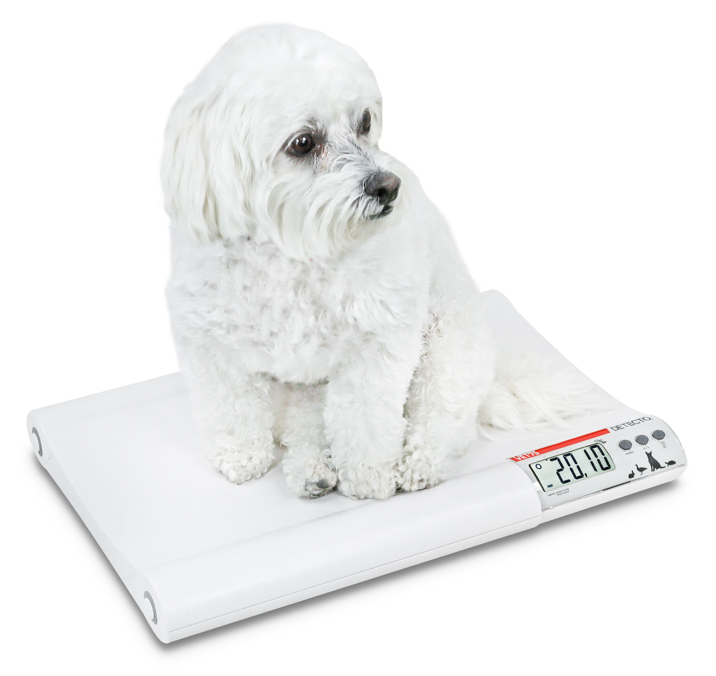 VET75_-_Dog_Facing_Right.jpg